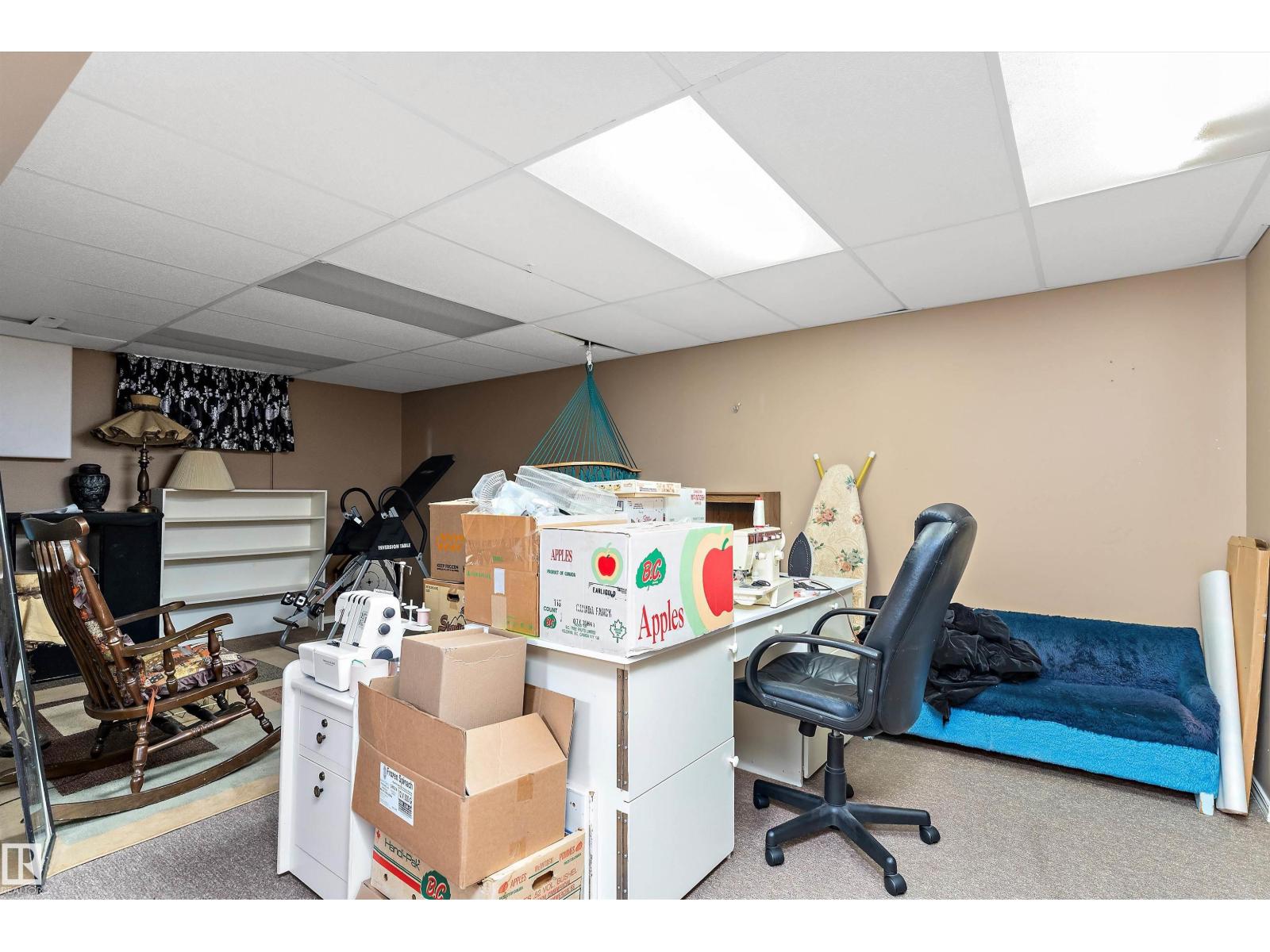 3443 87 St Nw, Edmonton, Alberta  T6K 0J1 - Photo 28 - E4457891