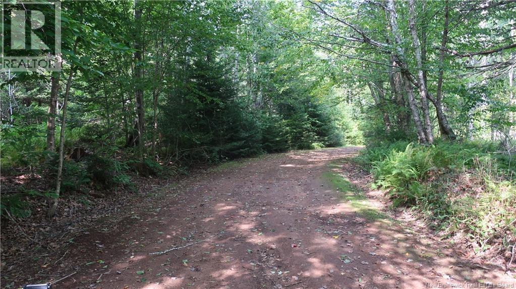 1371 Route 16 Route, Jolicure, New Brunswick  E4L 2P9 - Photo 2 - NB127524