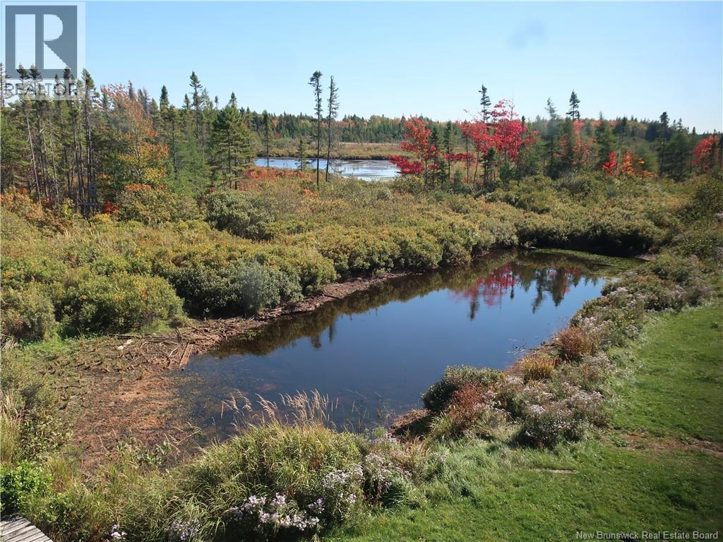 1371 Route 16 Route, Jolicure, New Brunswick  E4L 2P9 - Photo 20 - NB127524