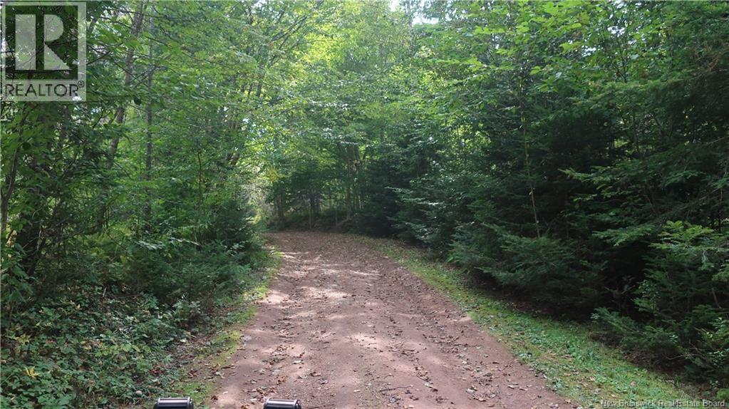 1371 Route 16 Route, Jolicure, New Brunswick  E4L 2P9 - Photo 3 - NB127524