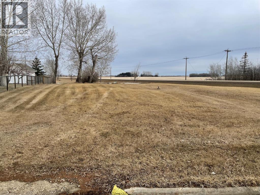 4502 53 Avenue, Daysland, Alberta  T0B 1A0 - Photo 2 - A2260322