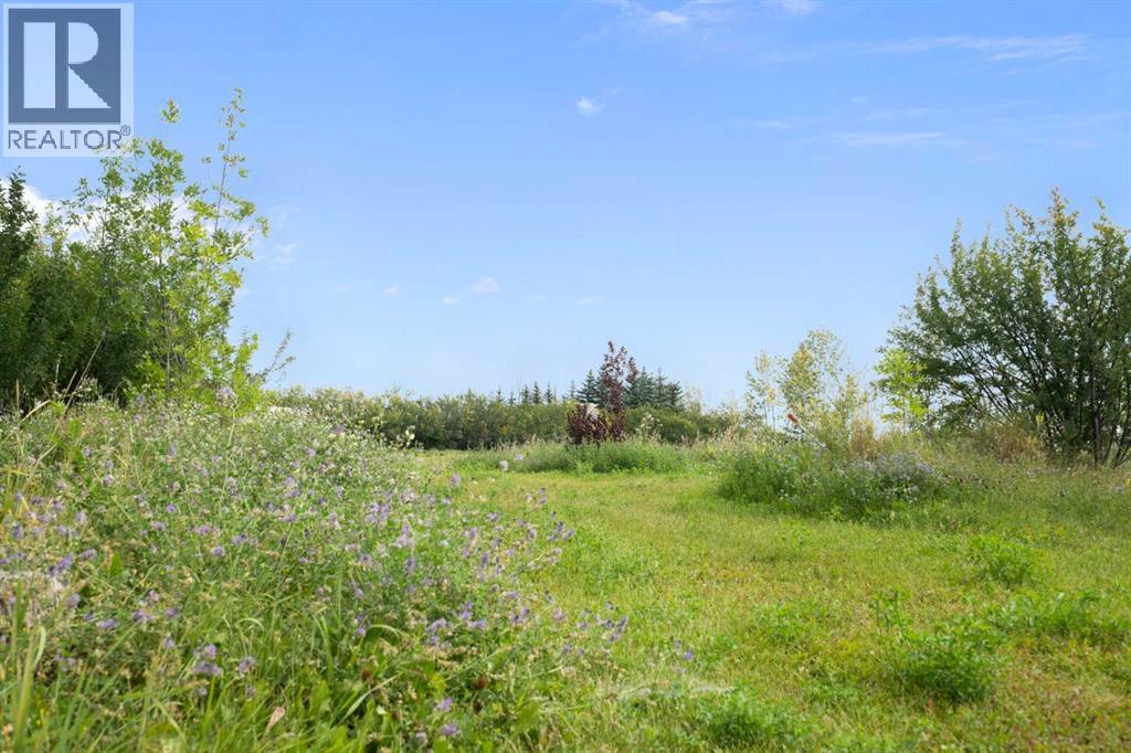 204 High Point Estates, Rural Rocky View County, Alberta  T1X 2K5 - Photo 11 - A2243740