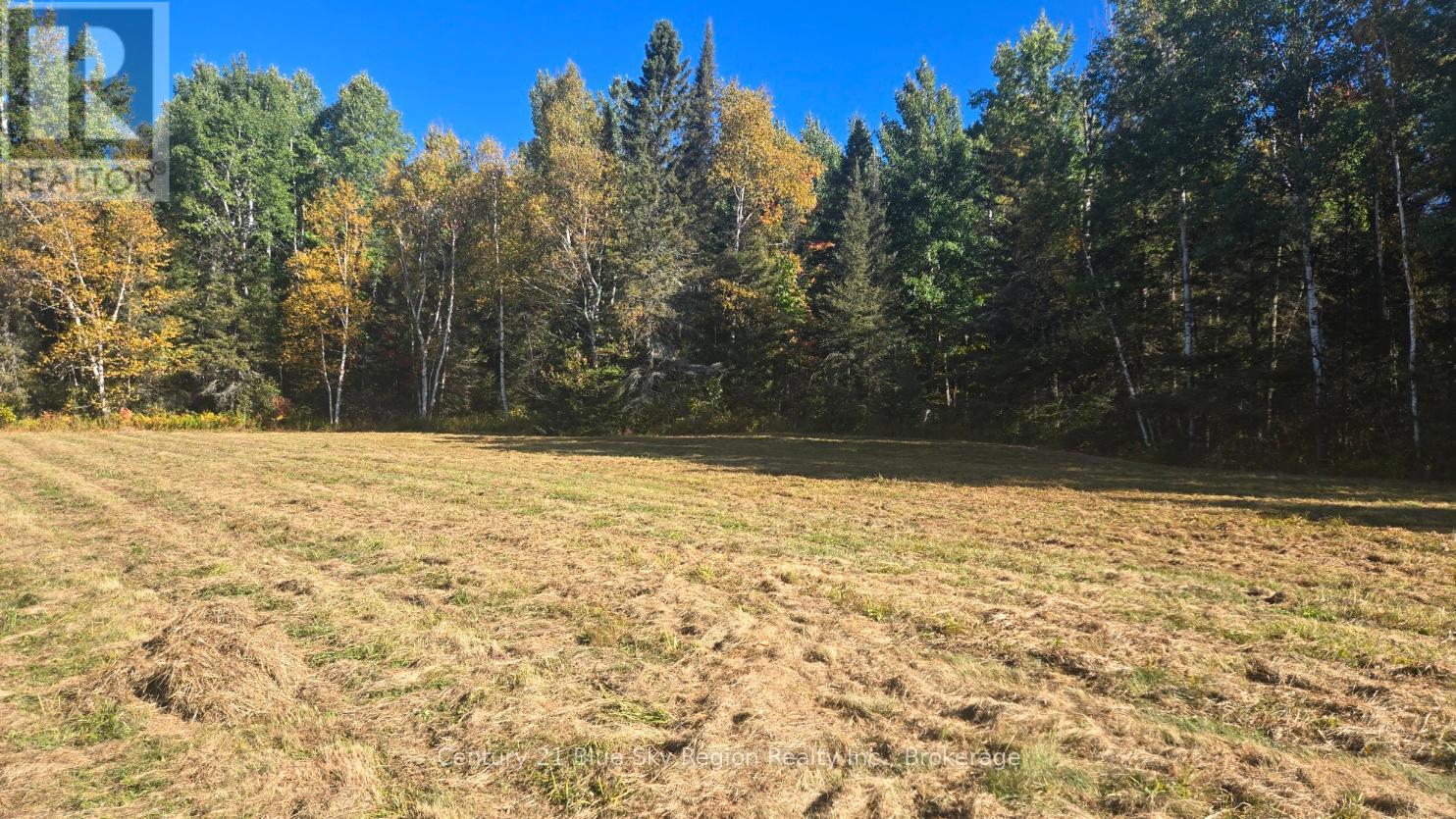 PT LT 1 CON 13 TRAPPERS ROAD, Chisholm, Ontario