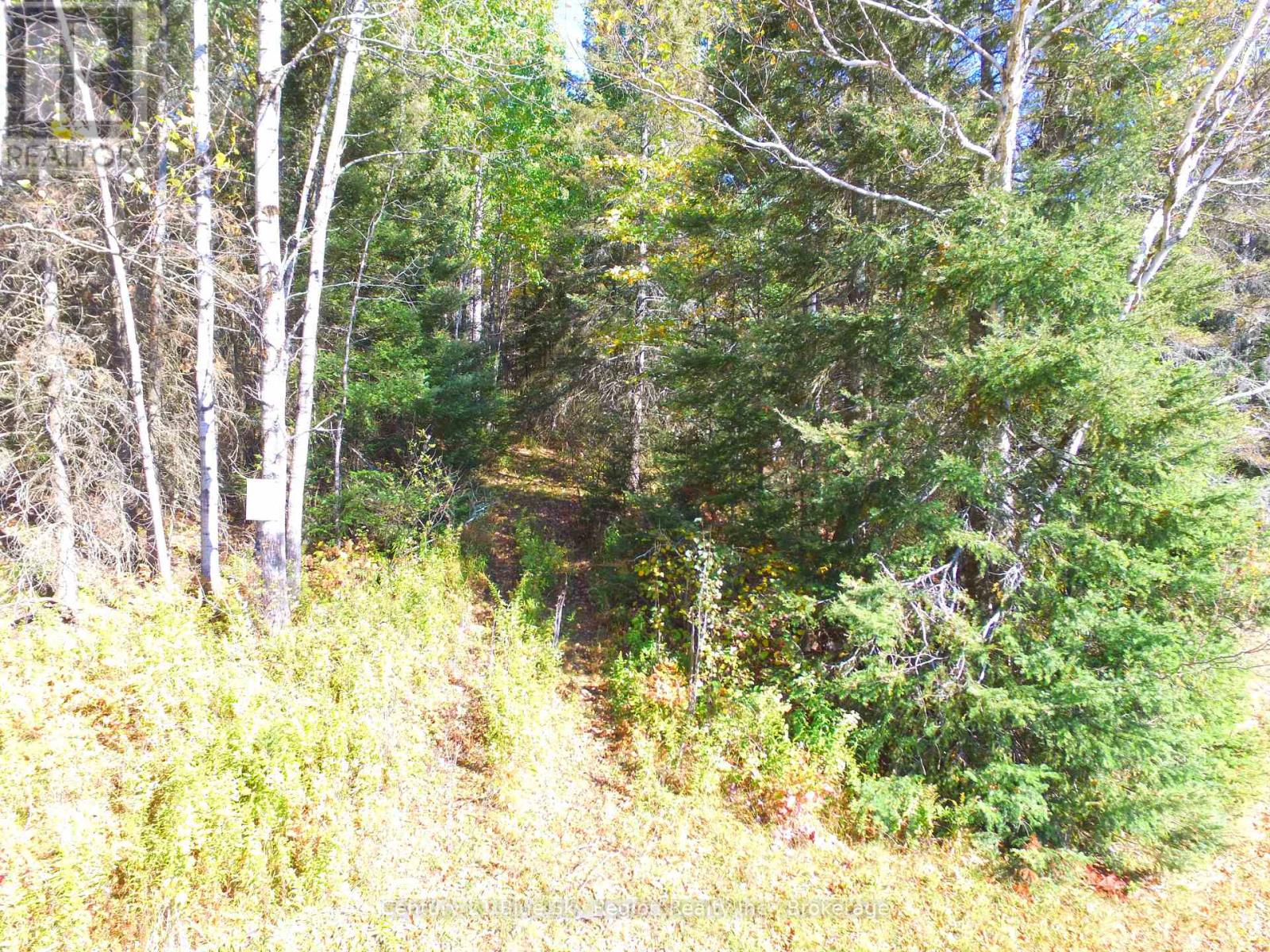 Pt Lt 1 Con 13 Trappers Road, Chisholm, Ontario  P0H 1Z0 - Photo 18 - X12432915