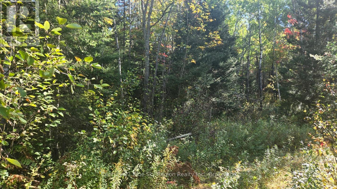 Pt Lt 1 Con 13 Trappers Road, Chisholm, Ontario  P0H 1Z0 - Photo 8 - X12432915