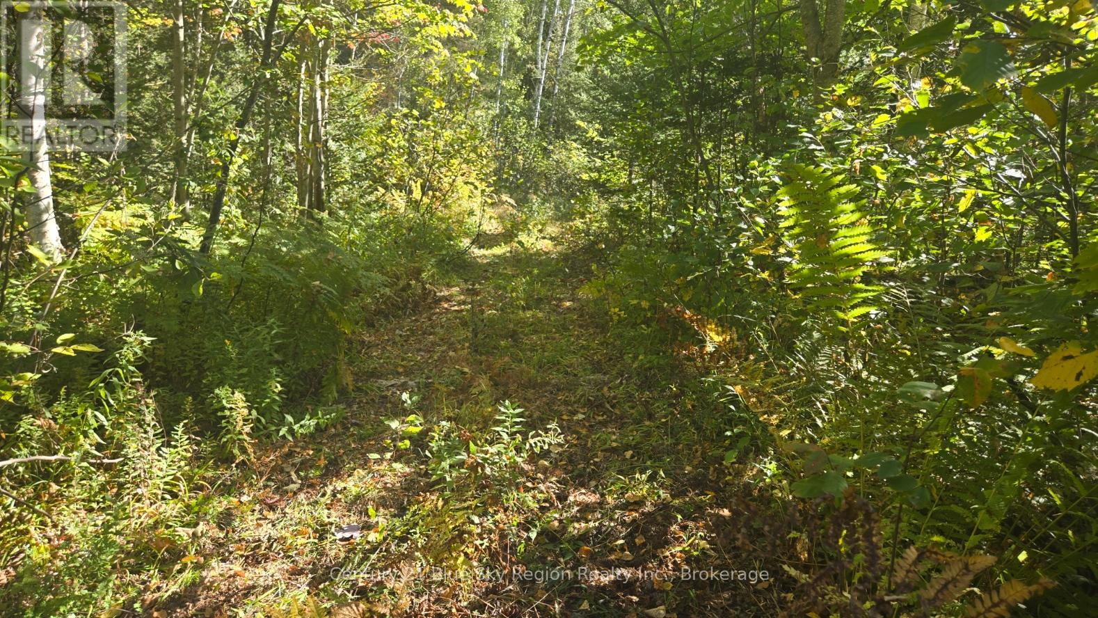 Pt Lt 1 Con 13 Trappers Road, Chisholm, Ontario  P0H 1Z0 - Photo 9 - X12432915