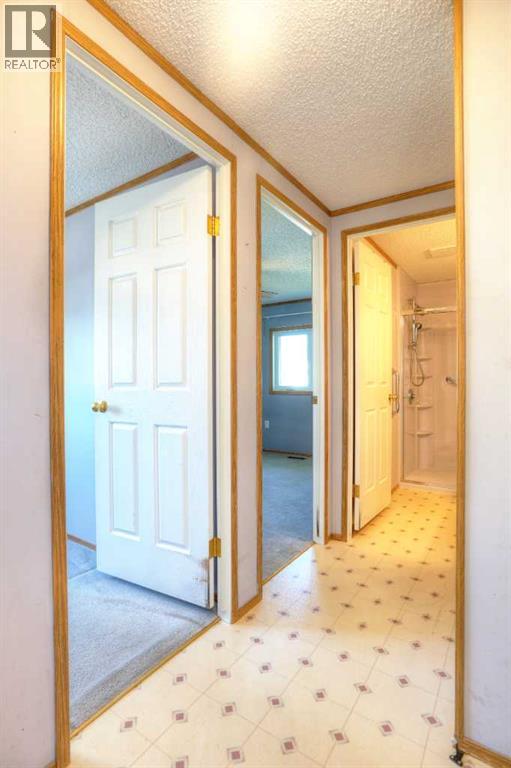 18 Doubletree Way, Strathmore, Alberta  T1P 1M8 - Photo 26 - A2259283