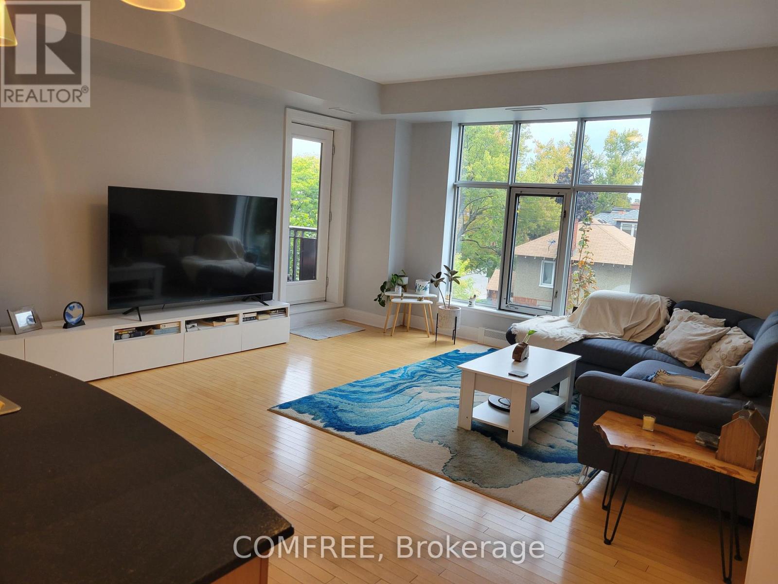 302 - 290 Powell Avenue, Ottawa, Ontario  K1S 5T4 - Photo 7 - X12433123