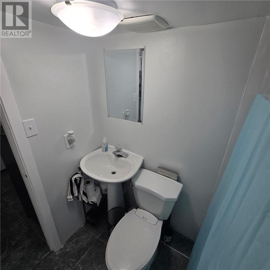 389 Ontario Street, Sudbury, Ontario  P3E 4K3 - Photo 29 - 2124950