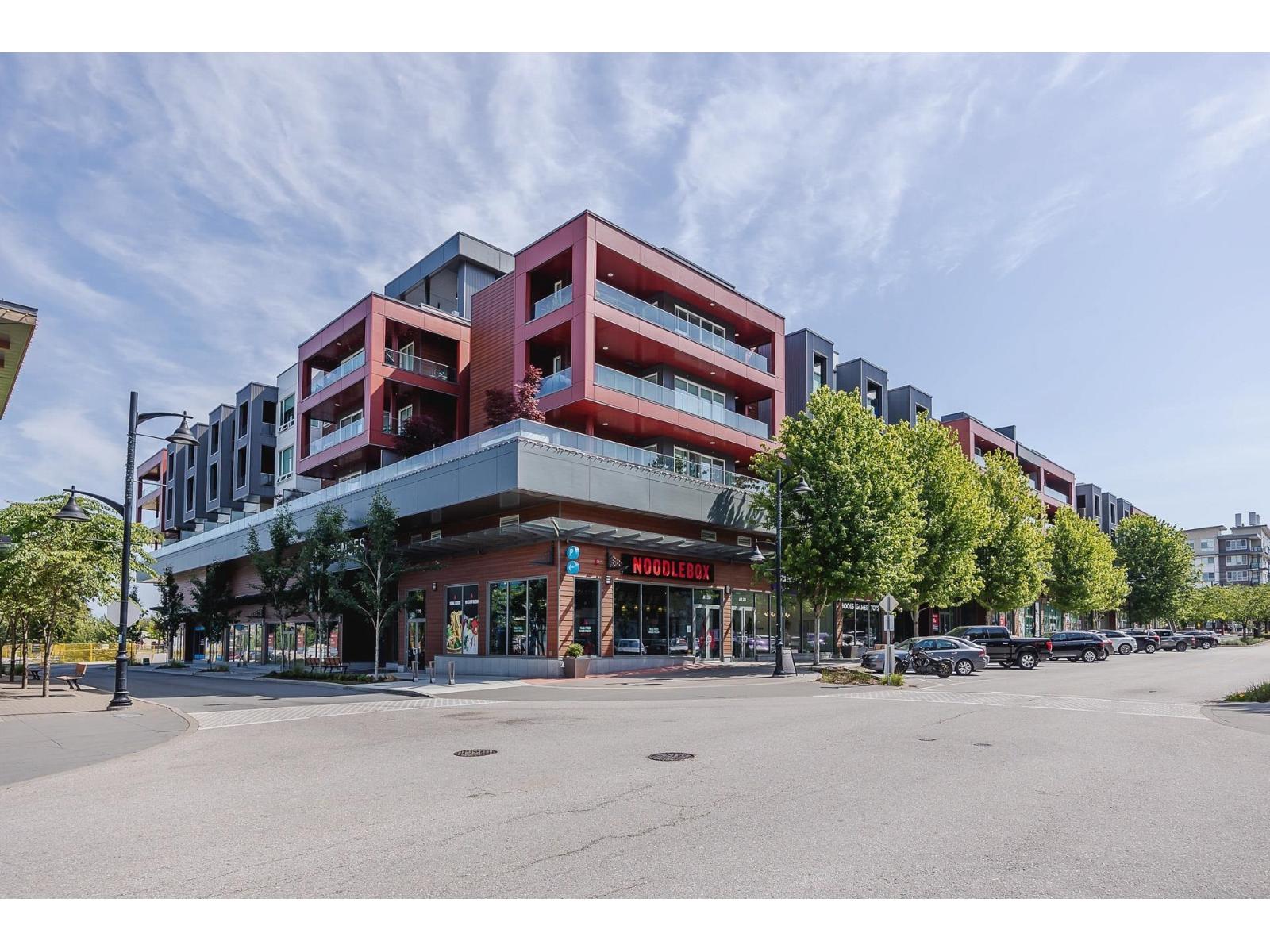 A224 20727 WILLOUGHBY TOWN CENTRE DRIVE, Langley, British Columbia