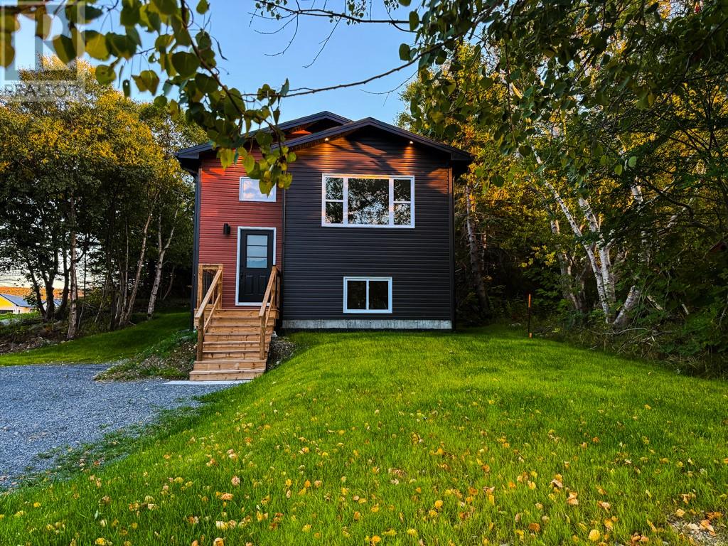 351 Water Street, Harbour Grace, Newfoundland & Labrador  A0A 2M0 - Photo 17 - 1288943