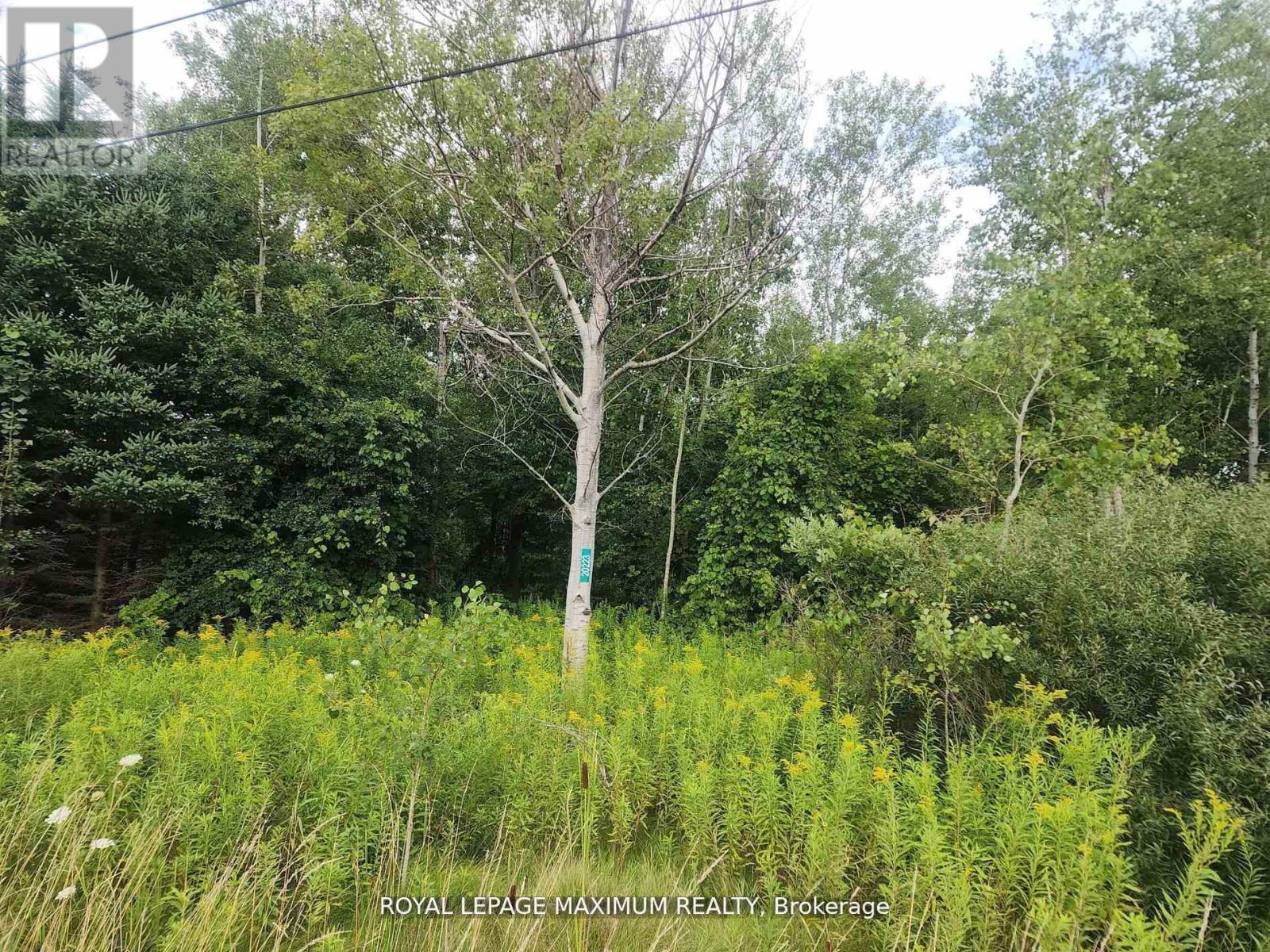 20223 Bathurst Street, East Gwillimbury, Ontario  L9N 1N3 - Photo 2 - N12433213