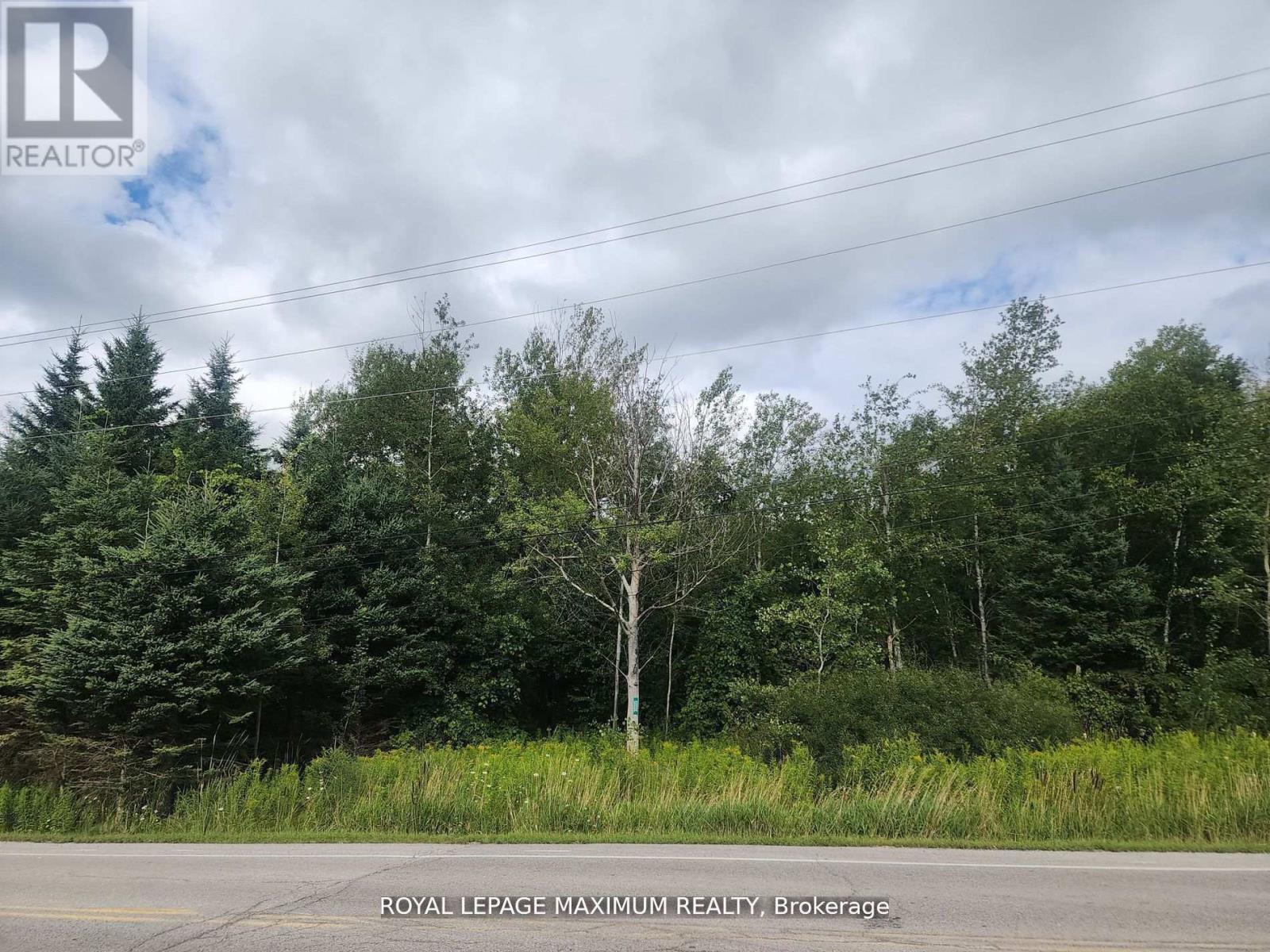 20223 Bathurst Street, East Gwillimbury, Ontario  L9N 1N3 - Photo 4 - N12433213