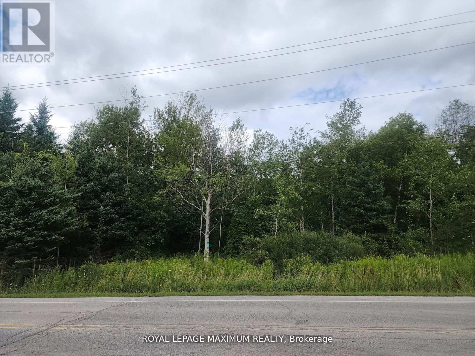 20223 Bathurst Street, East Gwillimbury, Ontario  L9N 1N3 - Photo 7 - N12433213
