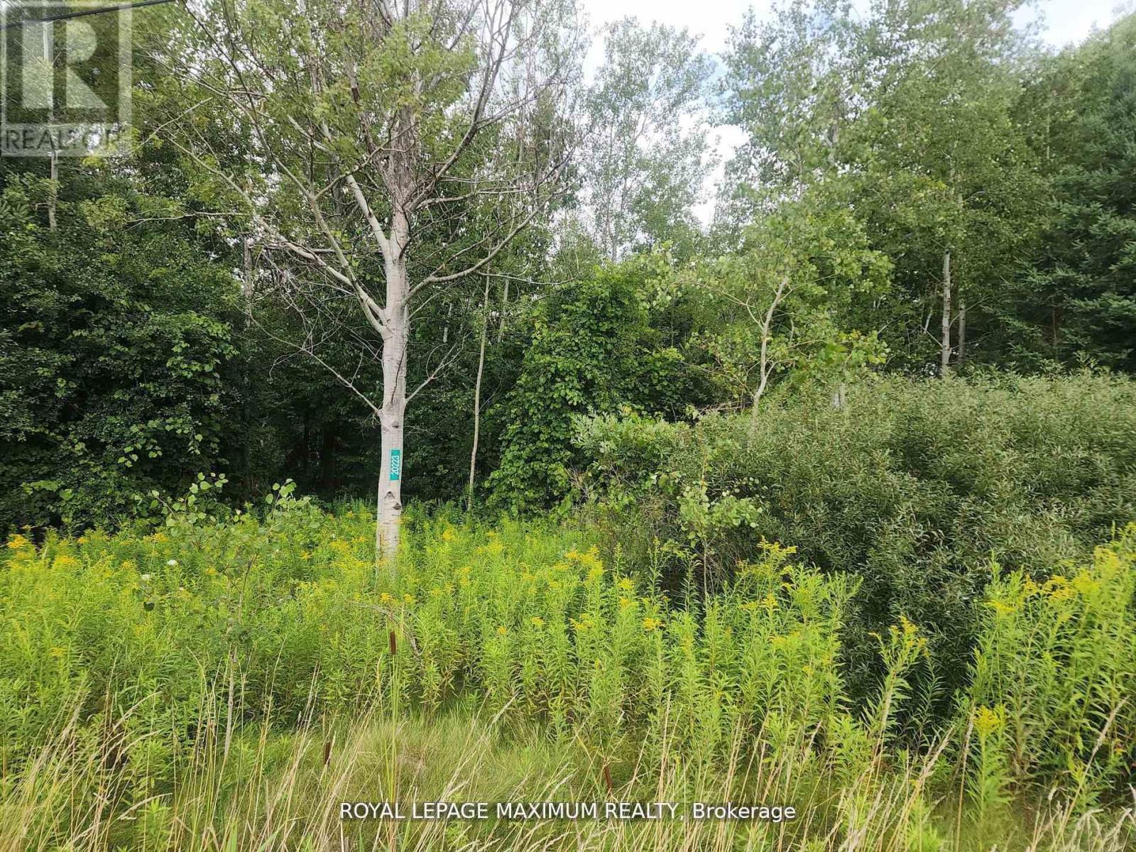 20223 Bathurst Street, East Gwillimbury, Ontario  L9N 1N3 - Photo 9 - N12433213