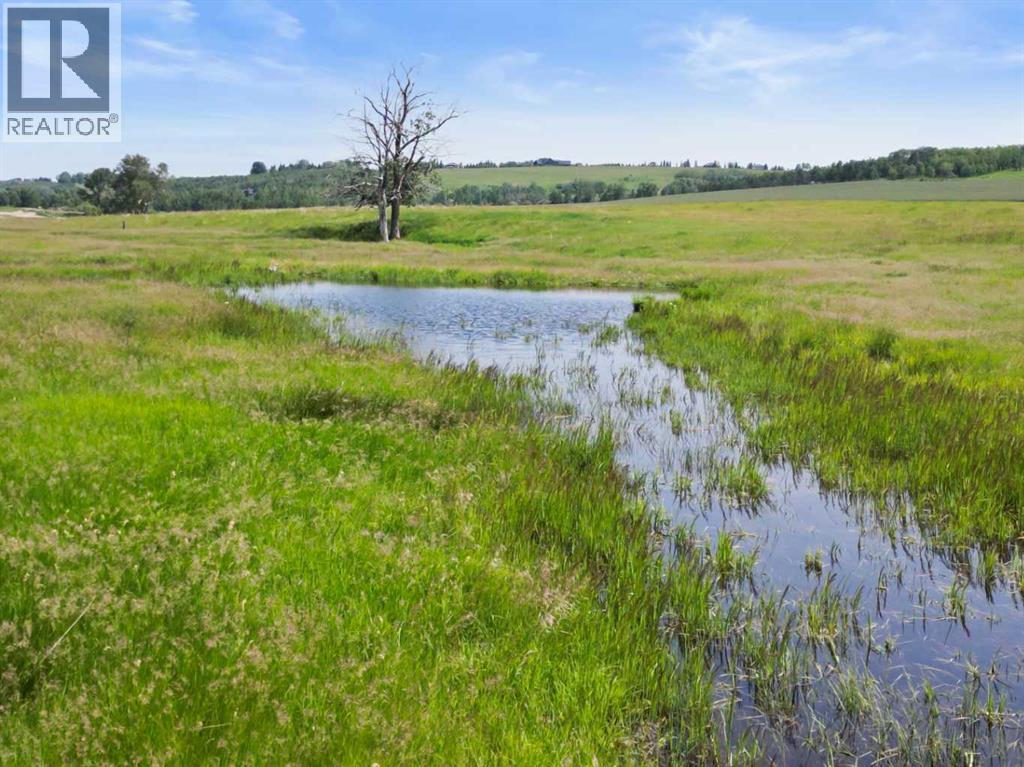 178140 96 Street W, Rural Foothills County, Alberta  T1S 0T3 - Photo 19 - A2232695