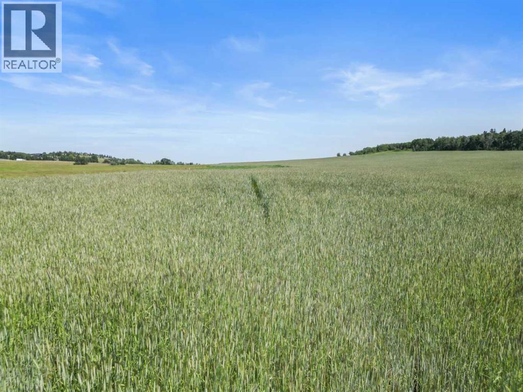 178140 96 Street W, Rural Foothills County, Alberta  T1S 0T3 - Photo 26 - A2232695
