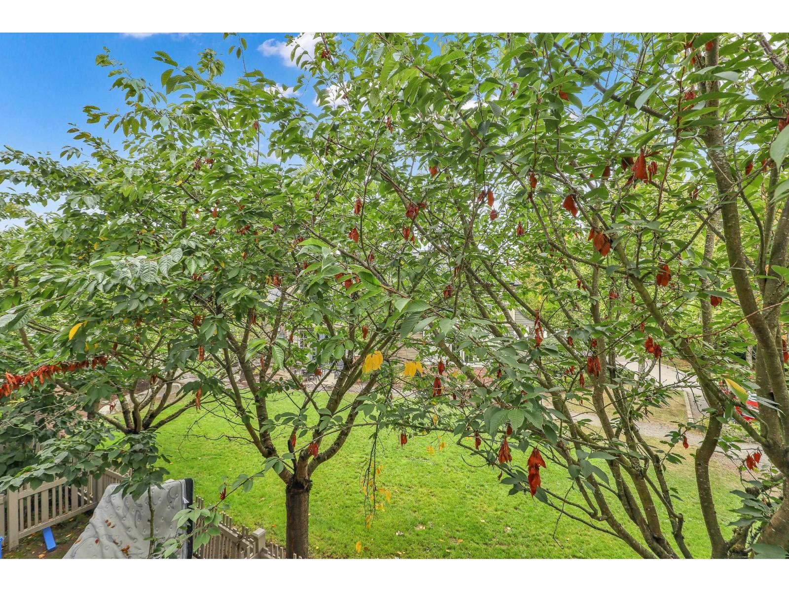 68 14838 61 Avenue, Surrey, British Columbia  V3S 2P3 - Photo 32 - R3052515
