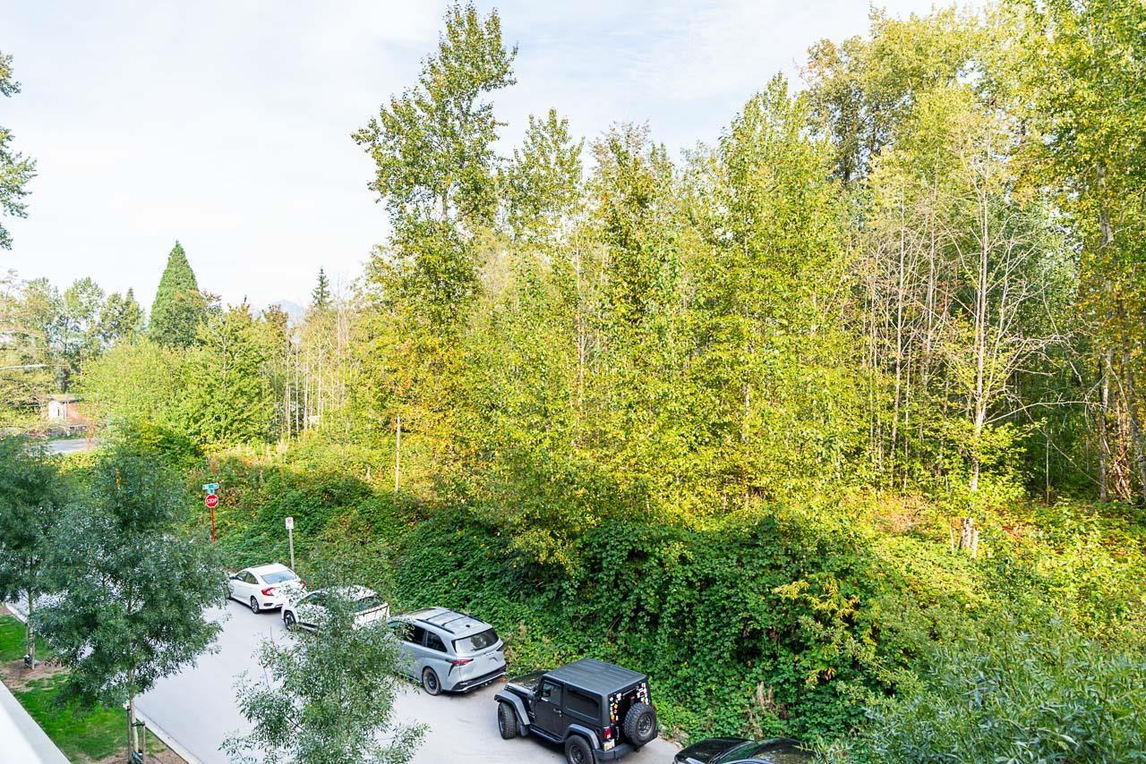 B311 8447 202 Street, Langley, British Columbia  V2Y 2B7 - Photo 22 - R3053563