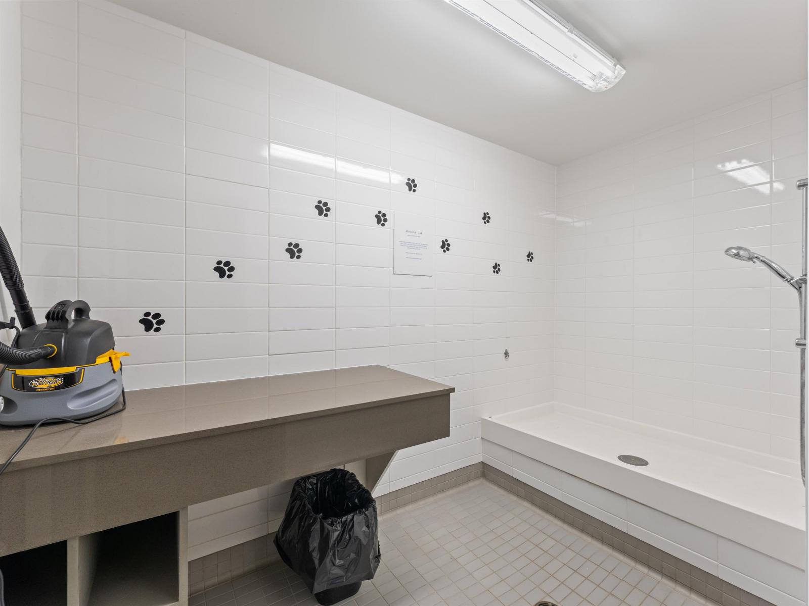 139 8138 204 Street, Langley, British Columbia  V2Y 0T4 - Photo 31 - R3053506