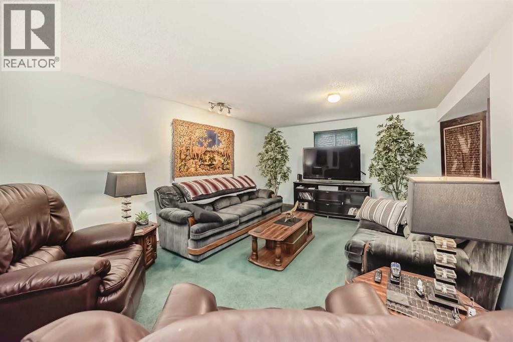 314 Mckinnon Drive, Carseland, Alberta  T0J 0M0 - Photo 21 - A2217610