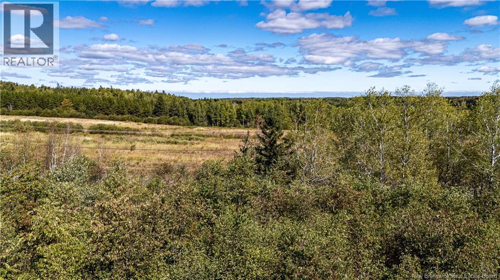 Lot 79-11 De La Traverse, Saint-Paul, New Brunswick  E4T 3M6 - Photo 11 - NB126180