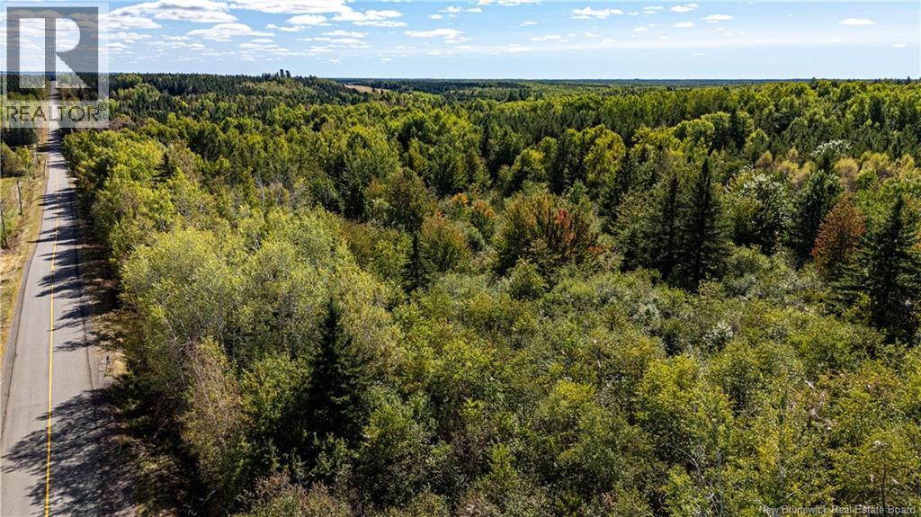 Lot 79-11 De La Traverse, Saint-Paul, New Brunswick  E4T 3M6 - Photo 19 - NB126180