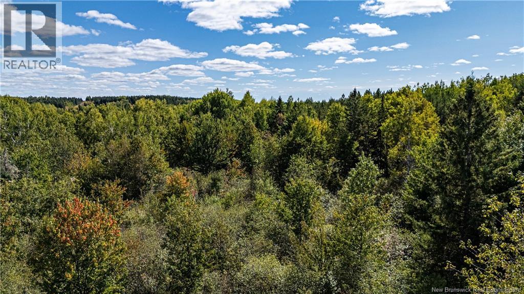 Lot 79-11 De La Traverse, Saint-Paul, New Brunswick  E4T 3M6 - Photo 10 - NB126180