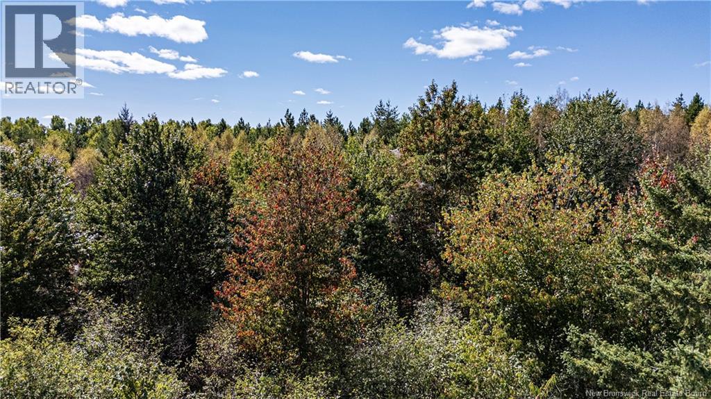 Lot 79-11 De La Traverse, Saint-Paul, New Brunswick  E4T 3M6 - Photo 14 - NB126180