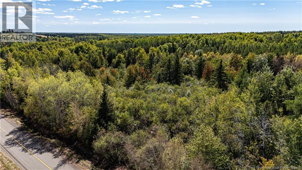 Lot 79-11 De La Traverse, Saint-Paul, New Brunswick  E4T 3M6 - Photo 20 - NB126180