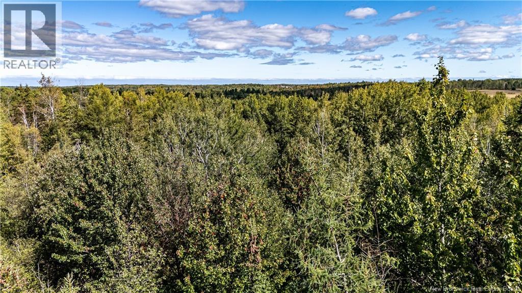 Lot 79-11 De La Traverse, Saint-Paul, New Brunswick  E4T 3M6 - Photo 7 - NB126180
