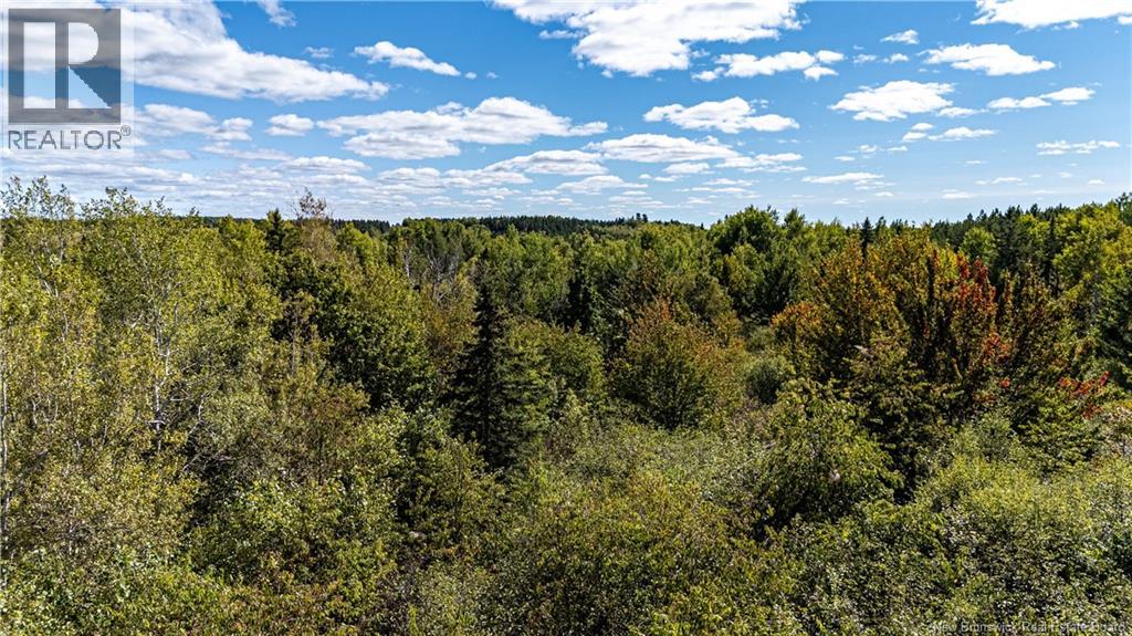 Lot 79-11 De La Traverse, Saint-Paul, New Brunswick  E4T 3M6 - Photo 18 - NB126180