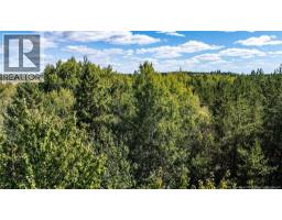 Lot 79-6 De La Traverse, Saint-Paul, New Brunswick