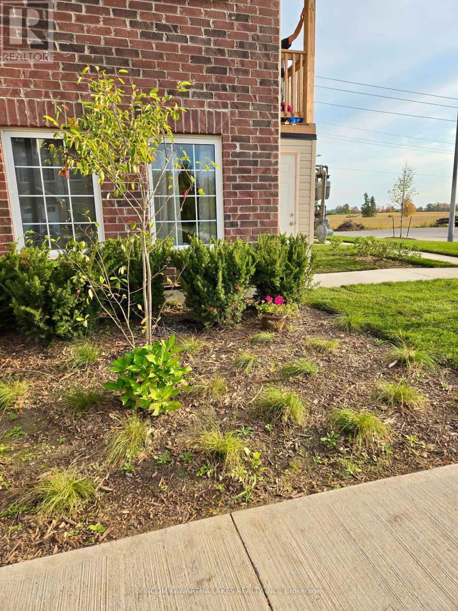 101 - 50 Maple Avenue, Asphodel-Norwood, Ontario  K0L 2V0 - Photo 5 - X12433691