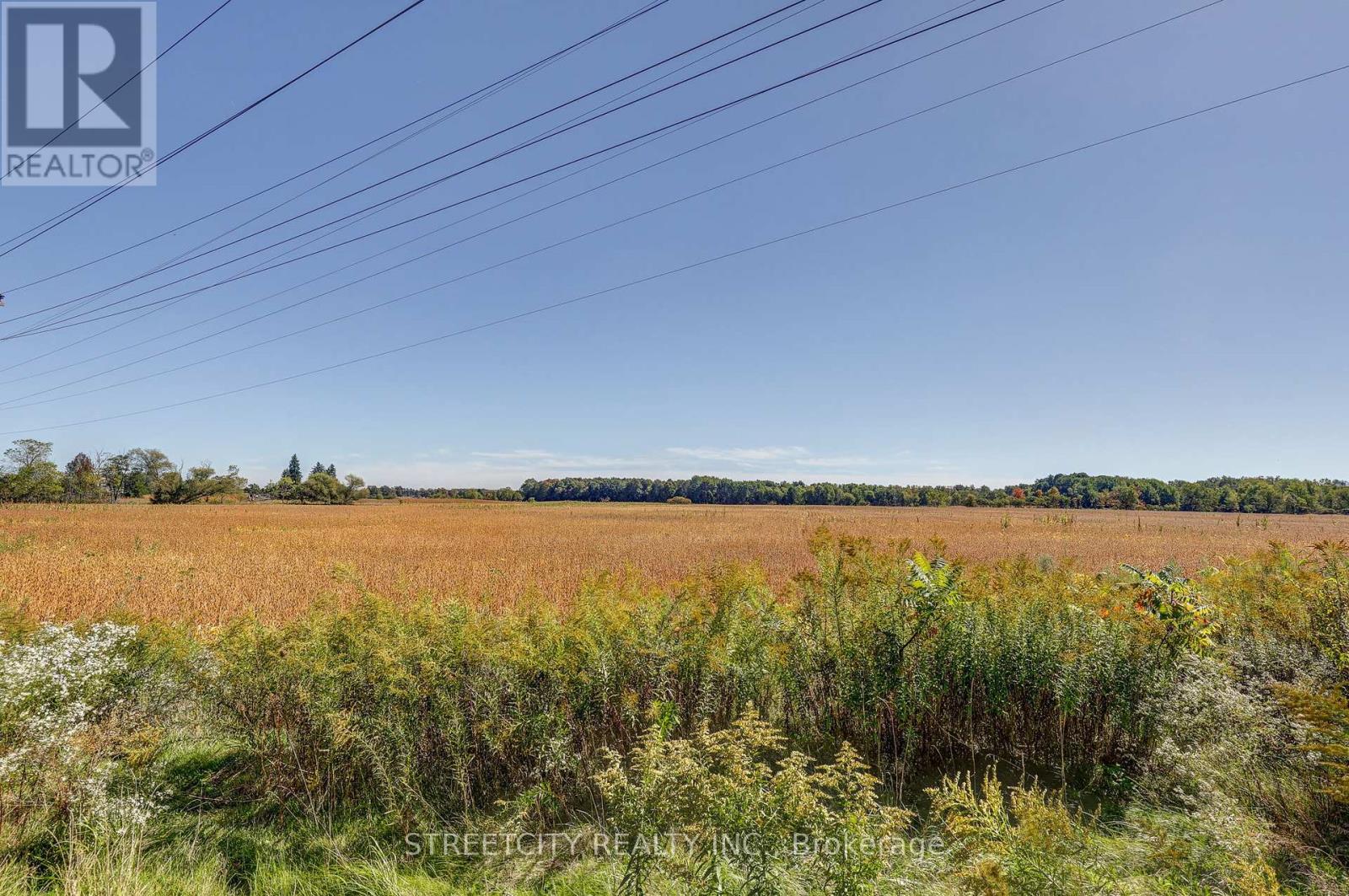 276 Marsh Line, Dutton/dunwich (Dutton), Ontario  N0L 1J0 - Photo 41 - X12433725