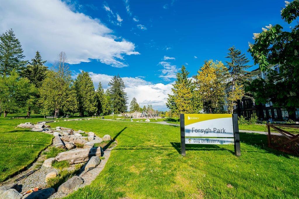 404 13929 105 Boulevard, Surrey, British Columbia  V3T 0R5 - Photo 16 - R3053371