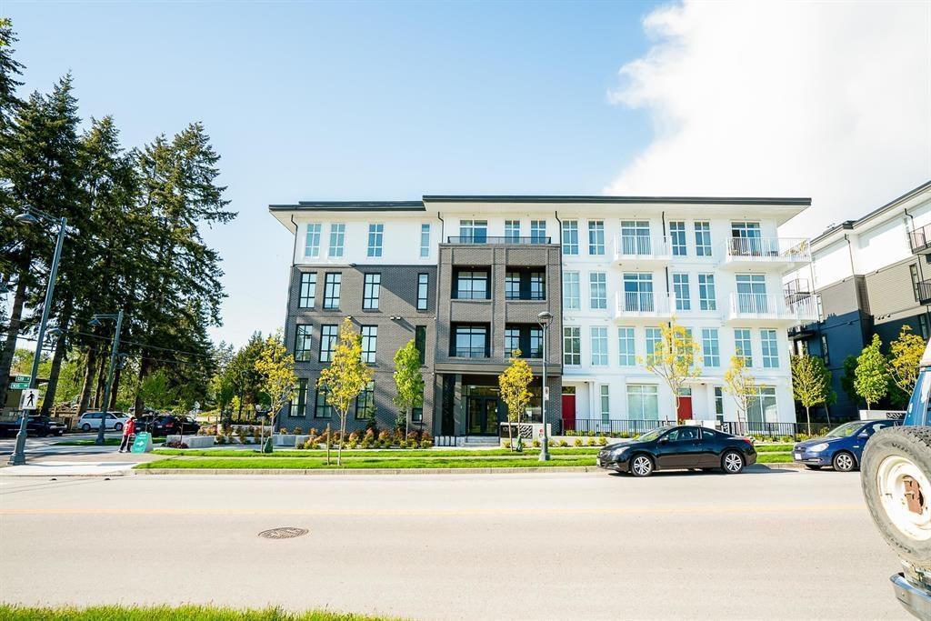 404 13929 105 Boulevard, Surrey, British Columbia  V3T 0R5 - Photo 15 - R3053371