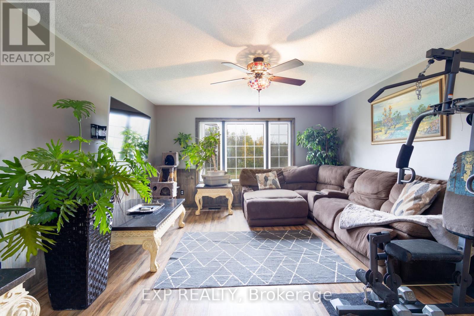146 Mark Road, Kawartha Lakes, Ontario  K0M 1G0 - Photo 6 - X12433751