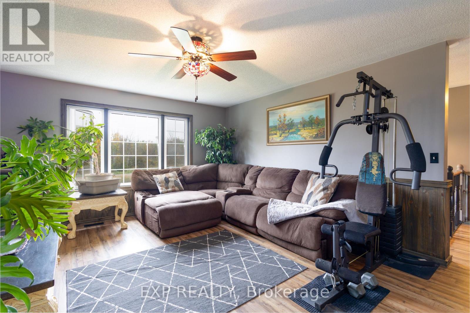 146 Mark Road, Kawartha Lakes, Ontario  K0M 1G0 - Photo 7 - X12433751