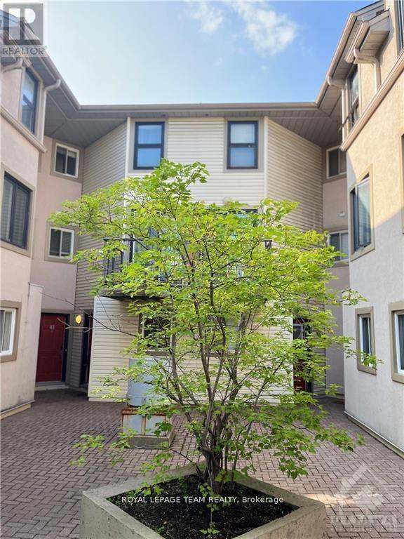 E - 41 Anderson Street, Ottawa, Ontario  K1R 6T6 - Photo 1 - X12434011