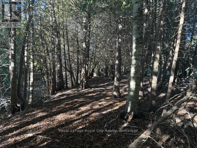 0 Queen Street E, Caledon, Ontario  L7K 0C2 - Photo 4 - W12434036