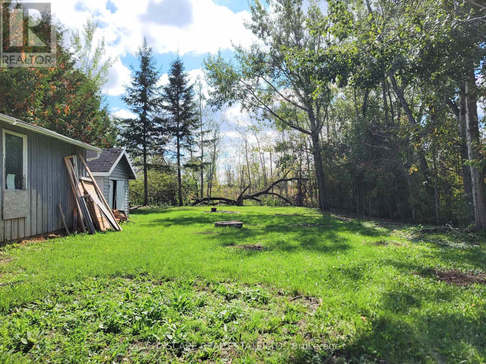 34 Robinson Avenue, Kawartha Lakes, Ontario  K0M 2B0 - Photo 22 - X12369909