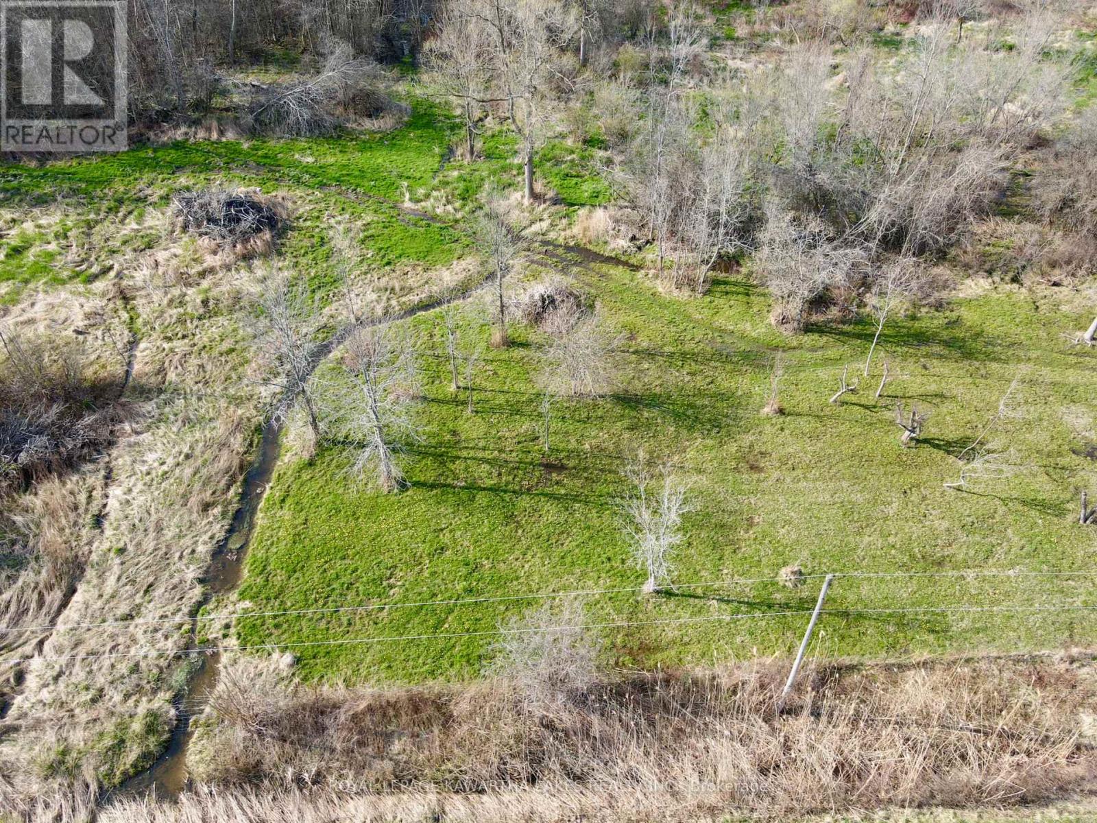 0 Concession 2 Road, Brock, Ontario  L0K 1A0 - Photo 14 - N12434260