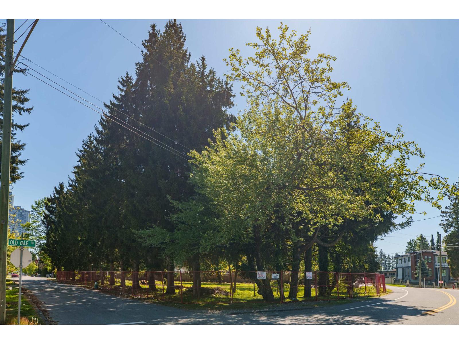 13003 Old Yale Road, Surrey, British Columbia  V3T 3C3 - Photo 12 - R3053607