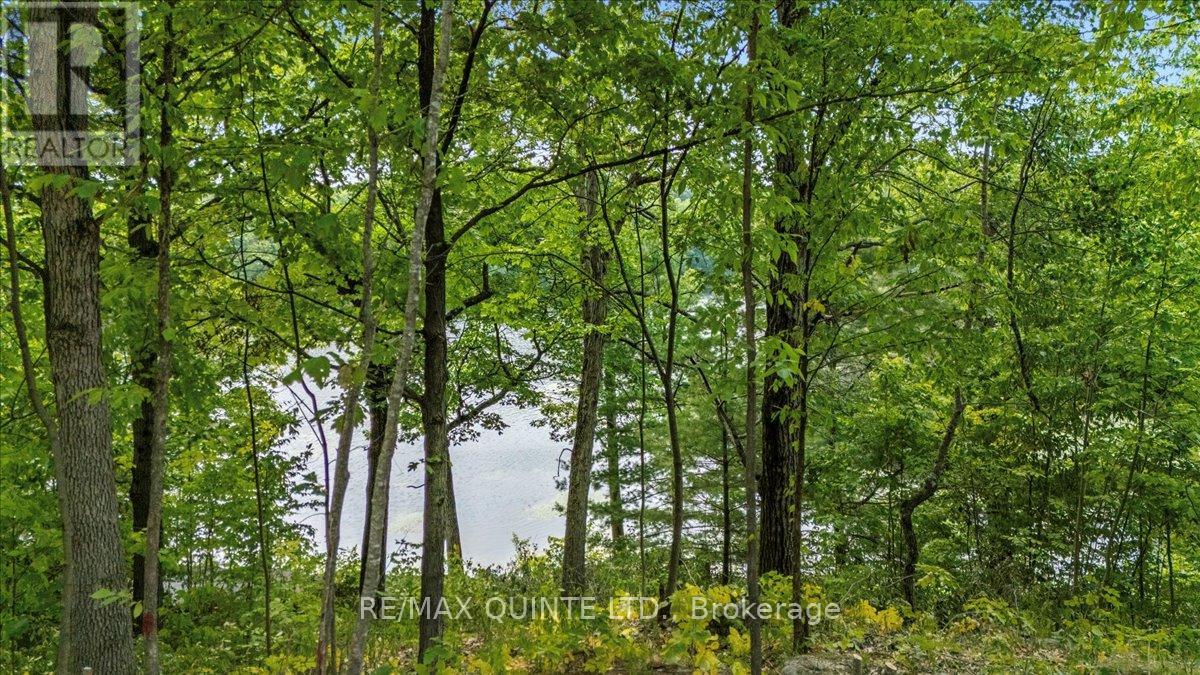 102 Attwood Lane, Frontenac (Frontenac South), Ontario  K0H 1T0 - Photo 33 - X12328476