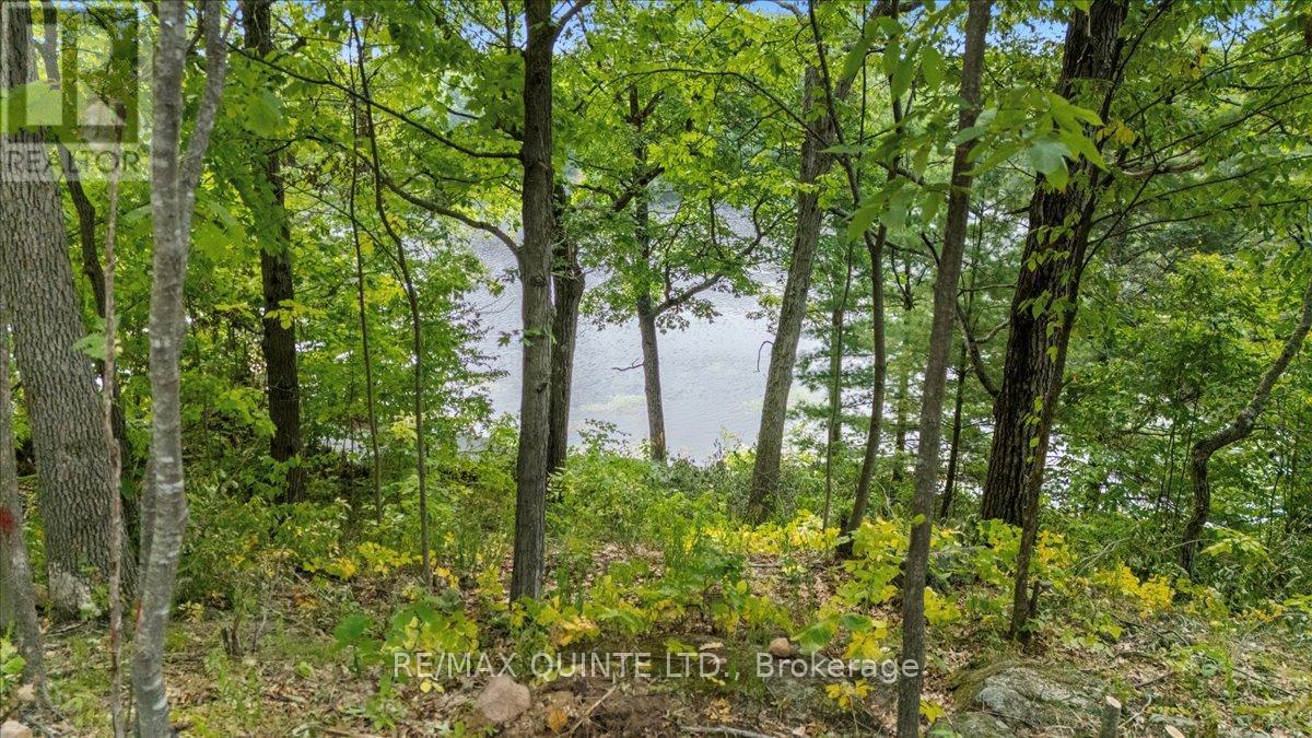 102 Attwood Lane, Frontenac (Frontenac South), Ontario  K0H 1T0 - Photo 37 - X12328476
