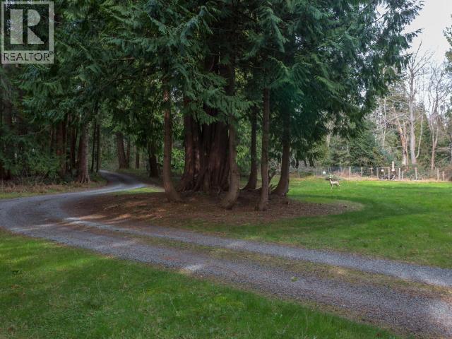 7987 Traffe Road, Powell River, British Columbia  V8A 0R6 - Photo 36 - 19196