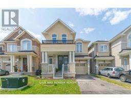 BSMNT - 11 IVOR CRESCENT N, Brampton, Ontario