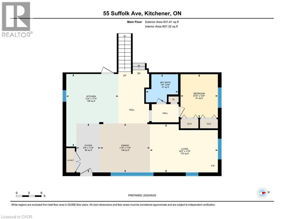 55 Suffolk Avenue, Kitchener, Ontario  N2B 1H3 - Photo 45 - 40774755