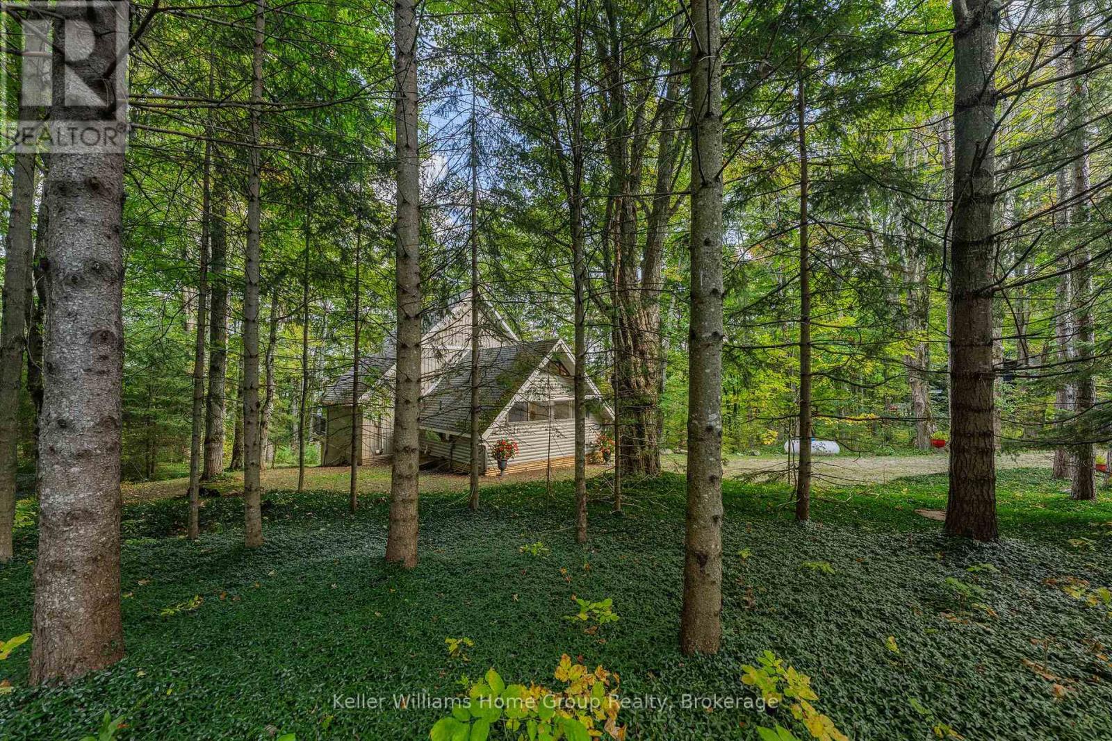 219 Bowles Bluff Road, Grey Highlands, Ontario  L0C 1H0 - Photo 3 - X12434398